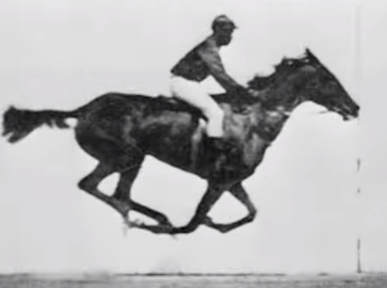 Horse galloping photo by Eadweard Muybridge (1887)