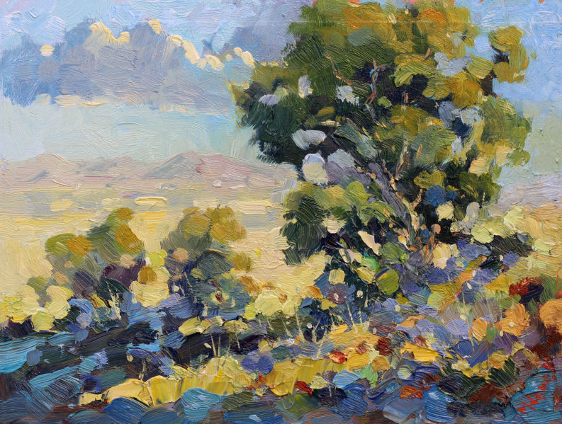 Acacia Country oil painting by Malcolm Dewey