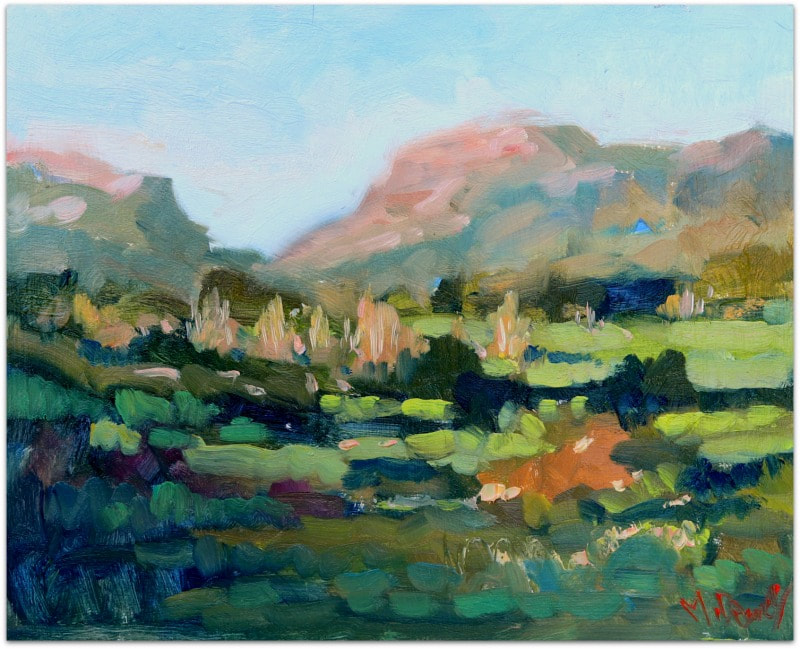 Karoo After the Rains painting by Malcolm Dewey
